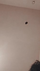 #Finance #insurance #Earnings #Technology #Credit #Software | ArabaTv Backup | Facebook