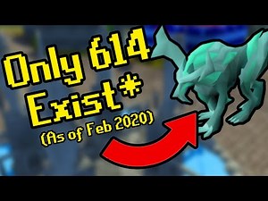 The RAREST Pets In All Of OSRS - That We Publicly Know