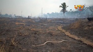 1M views · 10K reactions | உலக நுரையீரல் அமேசனில் என்ன நடக்கின்றது? காலம் கடந்தால் ஆபத்து வரும் அபாயம். Watch ▸#UHF54 | #DialogTV23 | #PeoTV127 | #LycaTV www.utv.lk | www.utvnews.lk | Youtube Subscribe► https://bit.ly/31HN7jj | UTV HD | Facebook