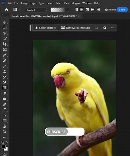 How to create vignette in Photoshop