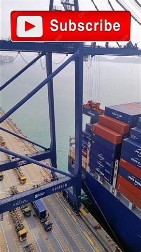 World’s Biggest Port Cranes at Work | Container Unloading#shorts