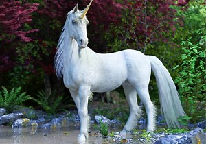 Unicorn Symbolism & Meaning ( Totem, Spirit & Omens)