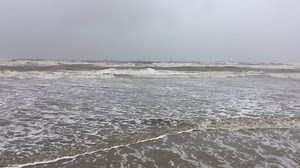 4.7K views · 154 reactions | Live Crystal Beach - a few minutes ago | crystalbeach.com | Facebook