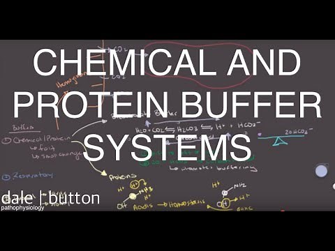 Chemical and Protein Buffers