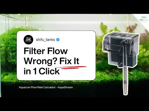 Aquarium Flow Rate Calculator | Choose the Right Filter Size Every Time