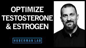 The Science of How to Optimize Testosterone & Estrogen