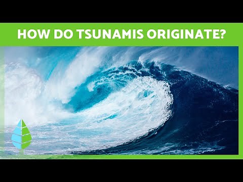 How is a TSUNAMI FORMED? 🌊 (Definition and Phases)