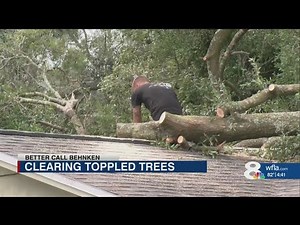 Who's responsible when trees go down during hurricanes?