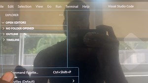 How To Choose Your Python 🐍 Interpreter In VS code