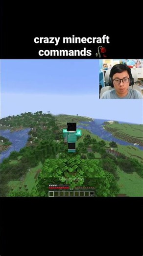 Minecraft Crazy Commands Moment