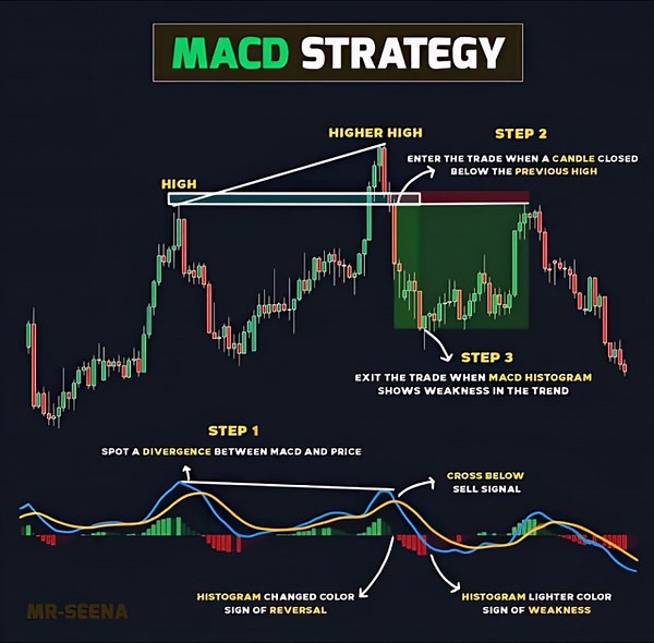 "MACD Strategy Explained | Best Divergence & Histogram Trading Setup"