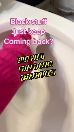 How to stop mold from developing in your toilet. These is a easy way to dtop it fir coming back for a while. #cleantoilet#cleantiktok#cleaninghacksthatwork #cleansnob@cleansnob @cleansnob @cleansnob