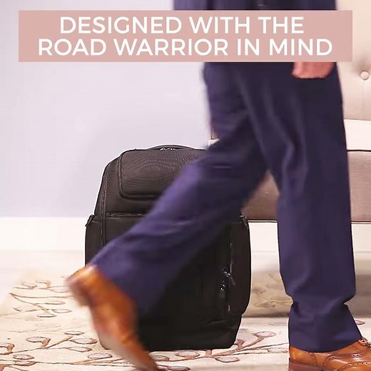 Introducing the eBags Professional Flight Backpack