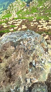 1.2M views · 62K reactions | Scenery view | Beautiful mountain path | Facebook