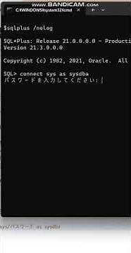 Sql*Plusを起動してから、フリーのOracleデータベースにアクセスしてみましたsqlplusコマンドでログインせず起動してから改めてログインします。