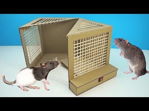 Simple Rat Trap Machine from Cardboard How To Install Rat Trap Technology
