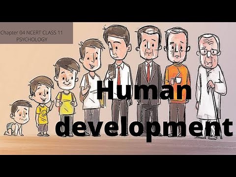 NCERT CLASS 11 PSYCHOLOGY|| CHAPTER 04 || HUMAN DEVELOPMENT|| PSYCH EDUCATION||
