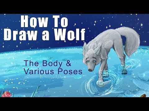 How To Draw A Wolf -- The Body & Poses (Sitting, Running, Jumping, Howling, etc.)