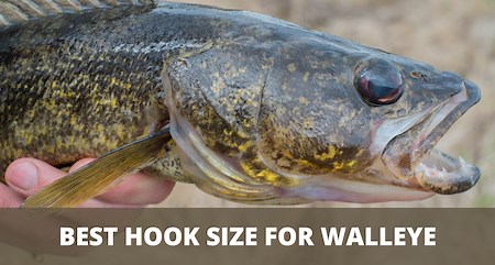 Walleye hook size - Sportfishing Buddy