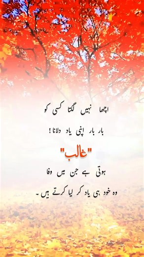 Exploring Mirza Ghalib's Poetic Legacy on TikTok