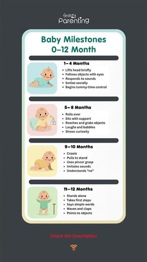 Baby Development Month by Month | Baby Milestones in the First Year