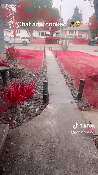 Exploring the Eye of Cthulhu in Terraria Gameplay