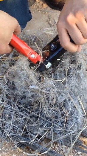 7.9K views · 23 reactions | How To Charge a Car Battery | HotCars | Facebook