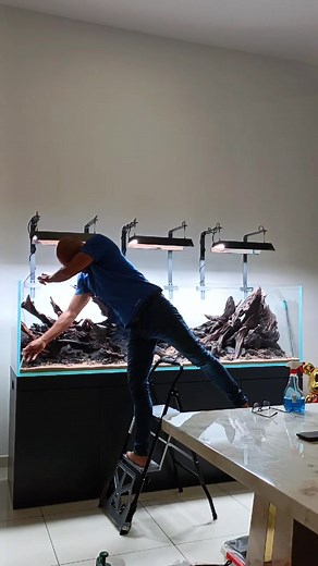 Creating a Stunning 2-Meter Aquarium Hardscape | HM Aquarium Design