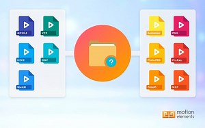 What you need to know about Common Video Formats and Codecs