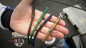 Floating Worms: How to Rig and Fish for Bass