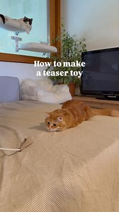 133K views · 11K reactions | Fringy Teaser Toy 臨 ✅ Materials • 1...