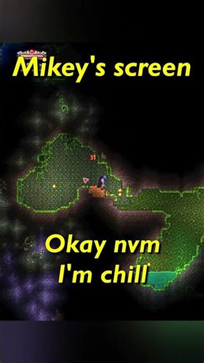 I'm Losing My Mind. #terraria #funny