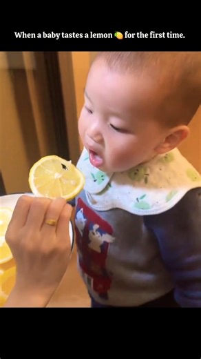 When a baby tastes a lemon 🍋 for the first time.