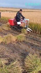 Modern machine | What's for today