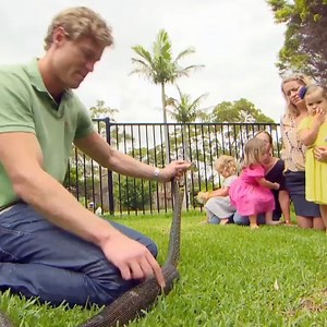 2.5M views · 58K reactions | After Chrismas lunch I definitely relate to this snake...  | Bondi Vet | Facebook