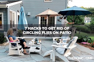 7 Hacks To Get Rid Of Circling Flies On Patio - The Home Tome
