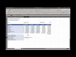 Excel Module 1 Project 2