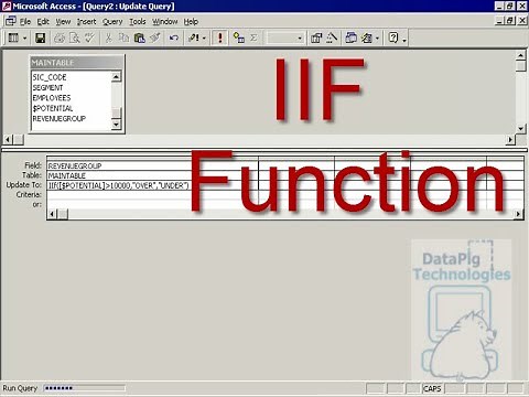 The versatile Immediate If (IIF) Function ~ DataPig