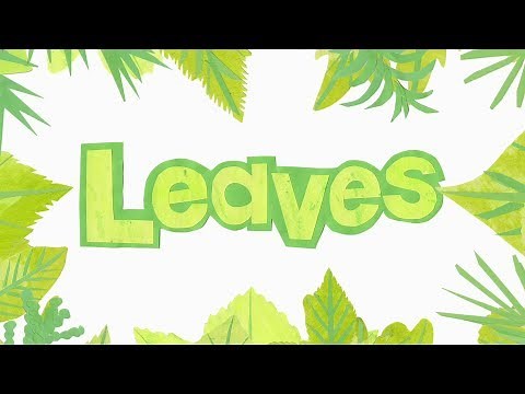 Leaf Names & Shapes - Learn to Identify Trees by Their Leaves | Fun Nature Guide for Kids