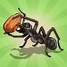 Pocket Ants: Colony Simulator (2020) - MobyGames