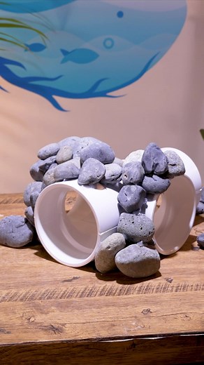 1.2M views · 7K reactions | I Made an Axolotl Tunnel 年 | Aquarium Info | Facebook