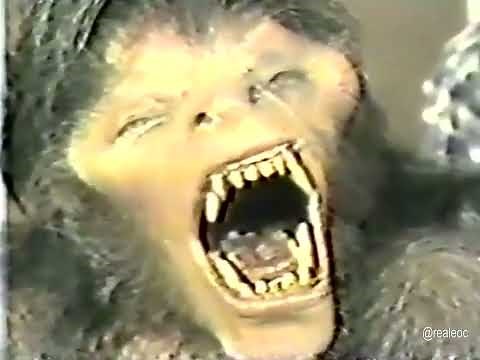 American Werewolf in London 1981 Behind the Scenes - Transformation - Horror