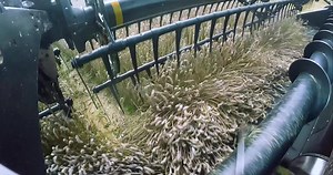 2.7K views · 54 reactions | MacDon D1 Draper and FD1 FlexDraper Active Crop Flow | MacDon Industries Ltd. | Facebook