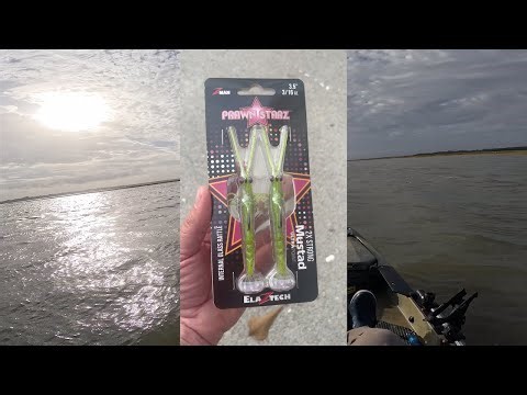 NEW Prawn StarZ Lure by Z-Man, will it catch FISH? ​⁠