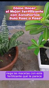 Cómo Hacer el Mejor Fertilizante Natural para Plantas con Zanahorias | Guía Paso a Paso **Descripción (500 palabras):** ¿Quieres aprender a hacer el mejor fertilizante natural para tus plantas de manera fácil y económica? En este artículo, te enseñaré cómo crear un fertilizante casero utilizando zanahorias, un ingrediente que puedes encontrar en cualquier mercado. Este fertilizante es ideal para todo tipo de plantas, ya que les proporciona nutrientes esenciales para su crecimiento y desarrollo. 