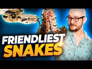 The 5 Friendliest Pet Snakes You Can Own! | Meet My New and Rare Snake!
