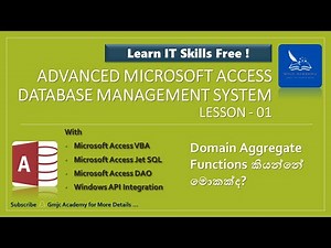Advanced Access - Lesson 01- Domain Aggregate Functions