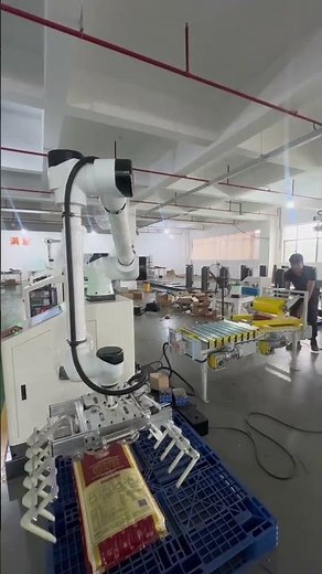 Collaborative Palletizing Robot / Cobot Palletizing #ricebagpalletizing