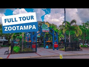 ZooTampa Full Tour