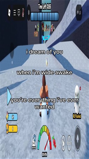 Mastering Seal Surfing Techniques for Beginners